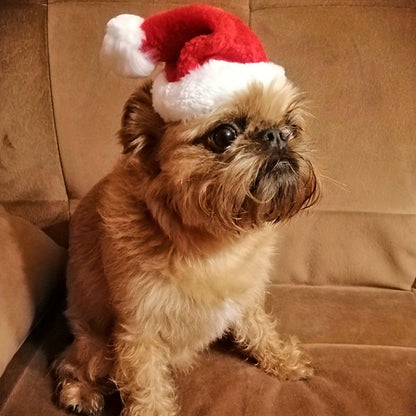 1pc Festive Santa Pet Christmas Hat - Hats for Pets - Soft, Warm, Adorable, and Comfortable Headwear for a Merry Holiday Season