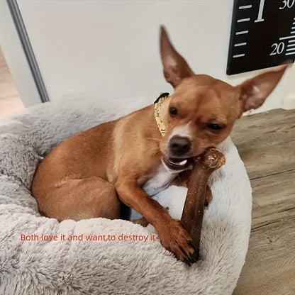 1pc Beef Aroma Delight - Durable Bone Shaped Dog Chew Toy for Interactive Play, Safe Teeth Cleaning & Grooming - Perfect Training Tool for Pets