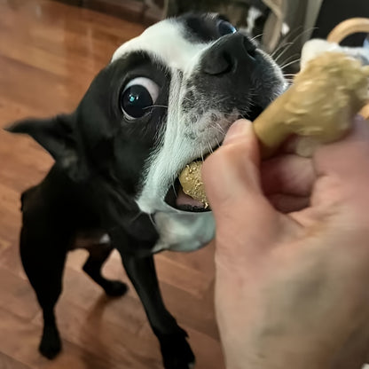 1pc Beef Aroma Delight - Durable Bone Shaped Dog Chew Toy for Interactive Play, Safe Teeth Cleaning & Grooming - Perfect Training Tool for Pets